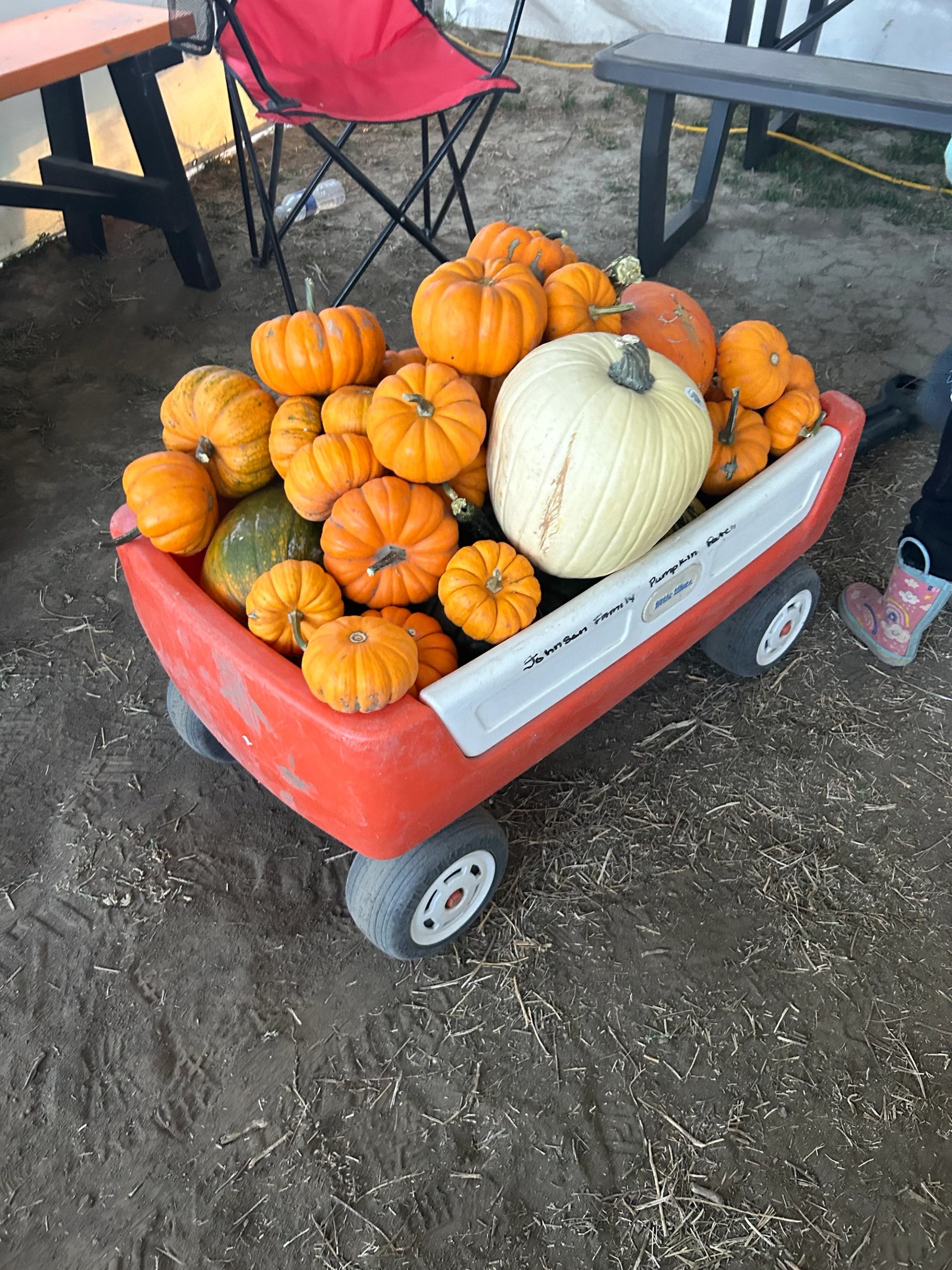 Red wagon filled with assorted pumpkins on a dirt path.