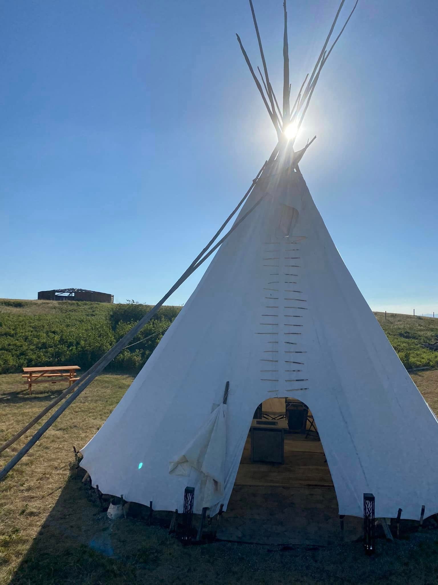 White canvas tipi on grassy field with sun behind poles and blue sky.
