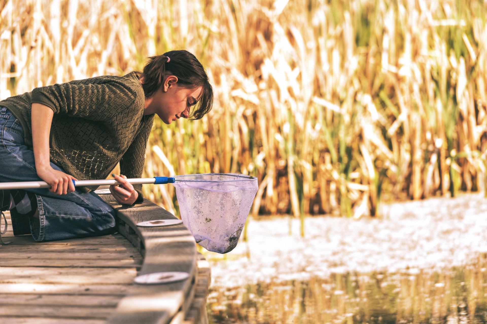 Person kneeling on a boardwalk using a net to explore water near tall reeds.