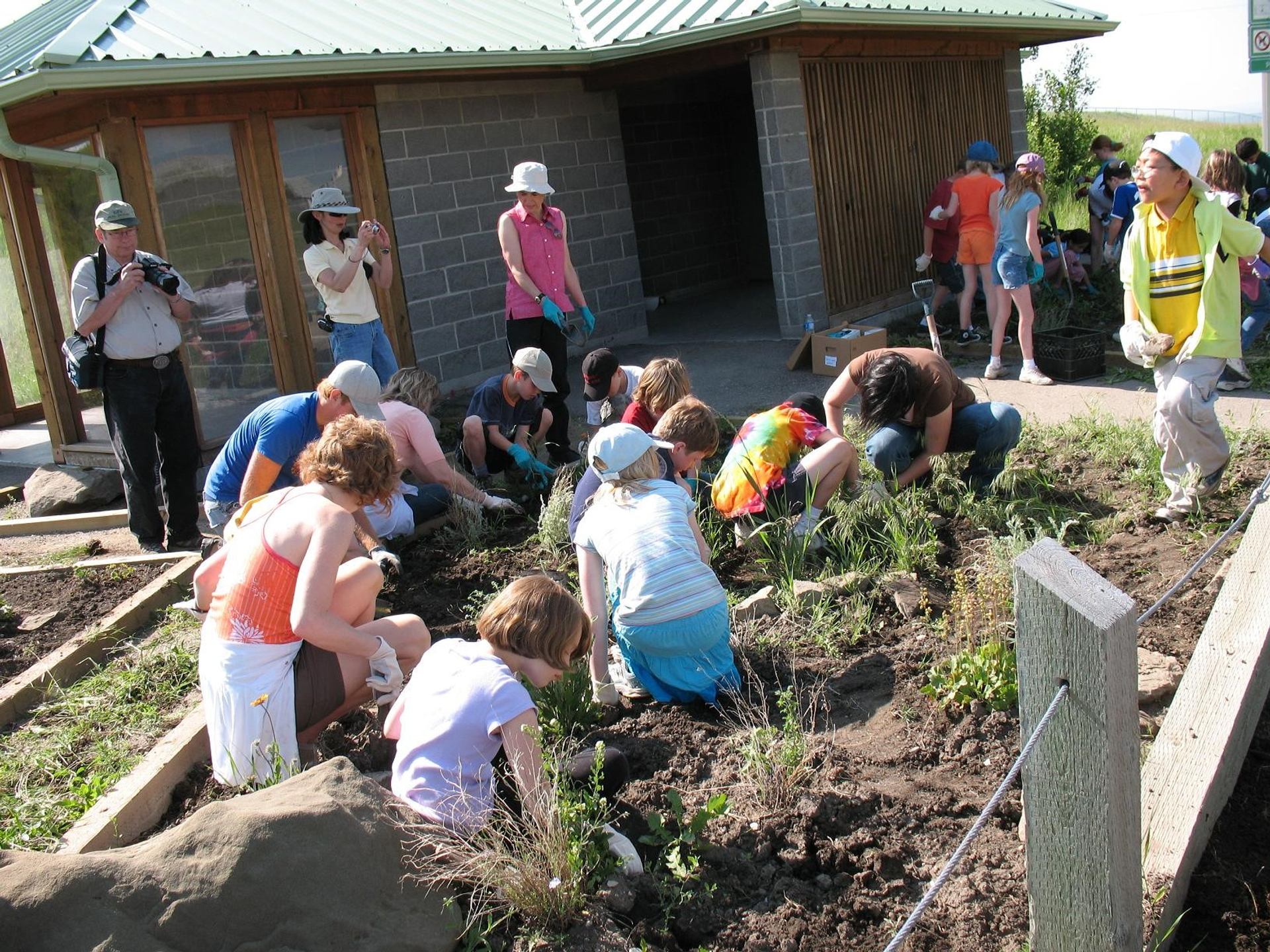 Group of children and adults kneel in a garden bed, planting and weeding together.