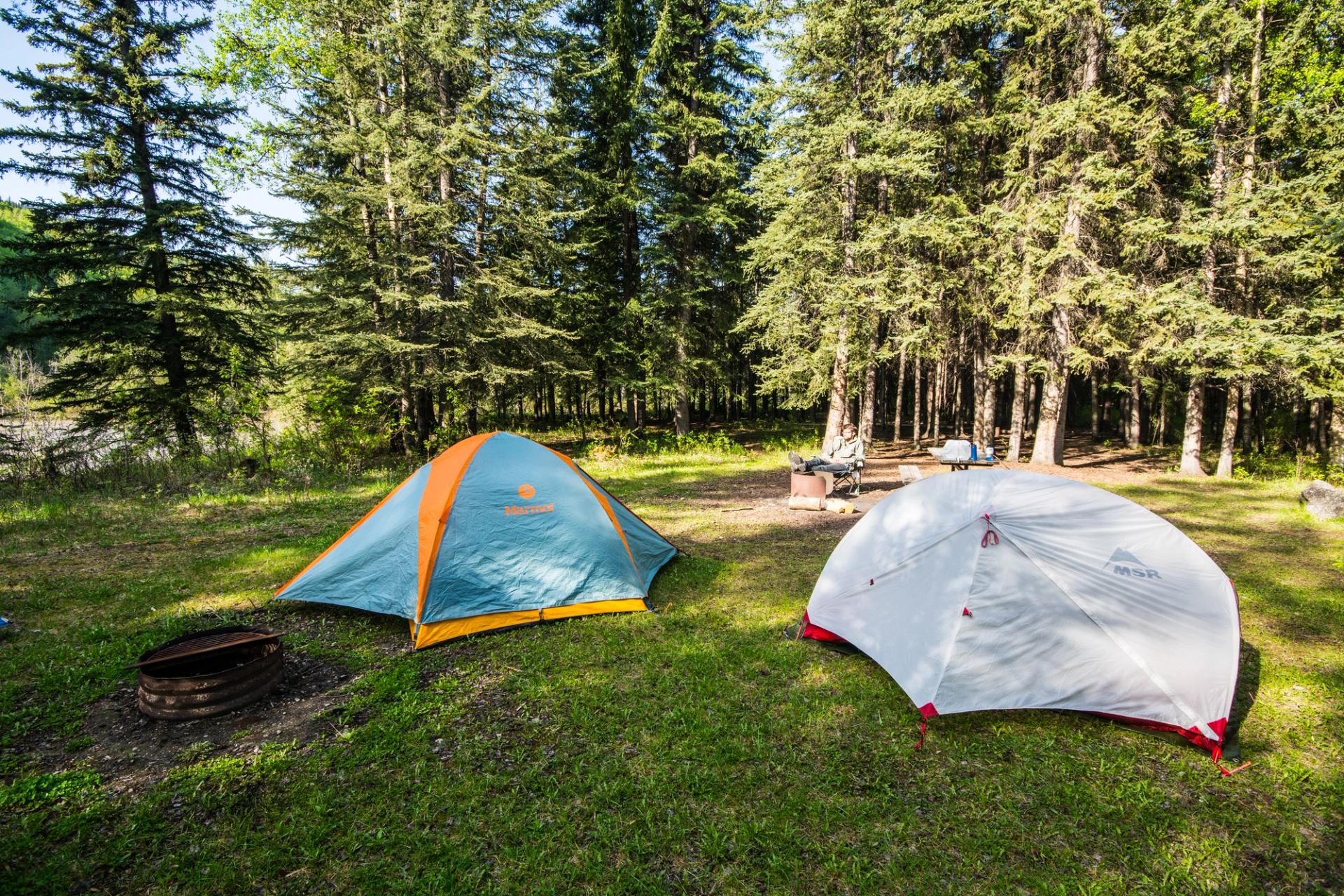 Two pitched tents on grassy campsite with fire ring and picnic table among tall trees.