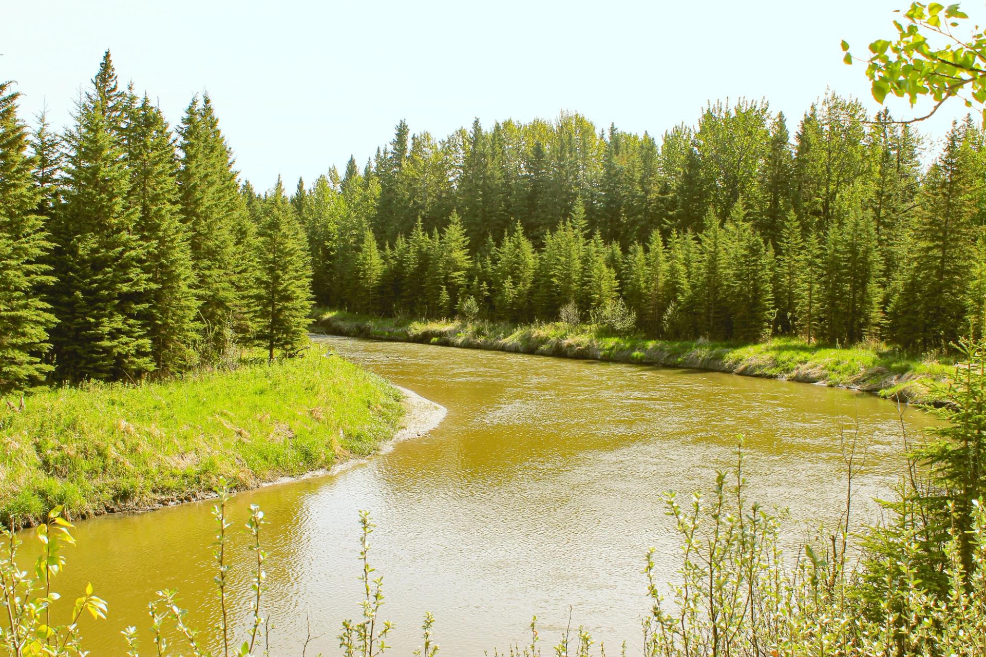 The river
