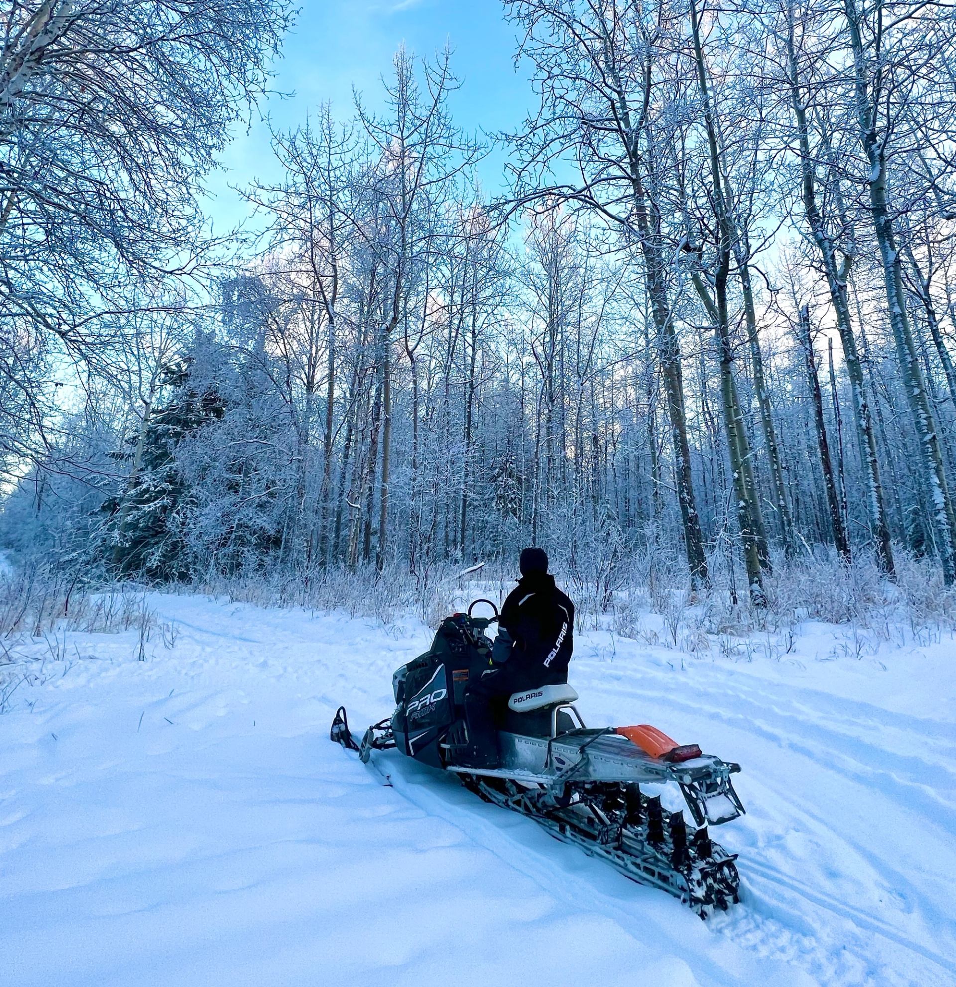 Person riding an ATV on a dirt trail through a forest with autumn leaves.