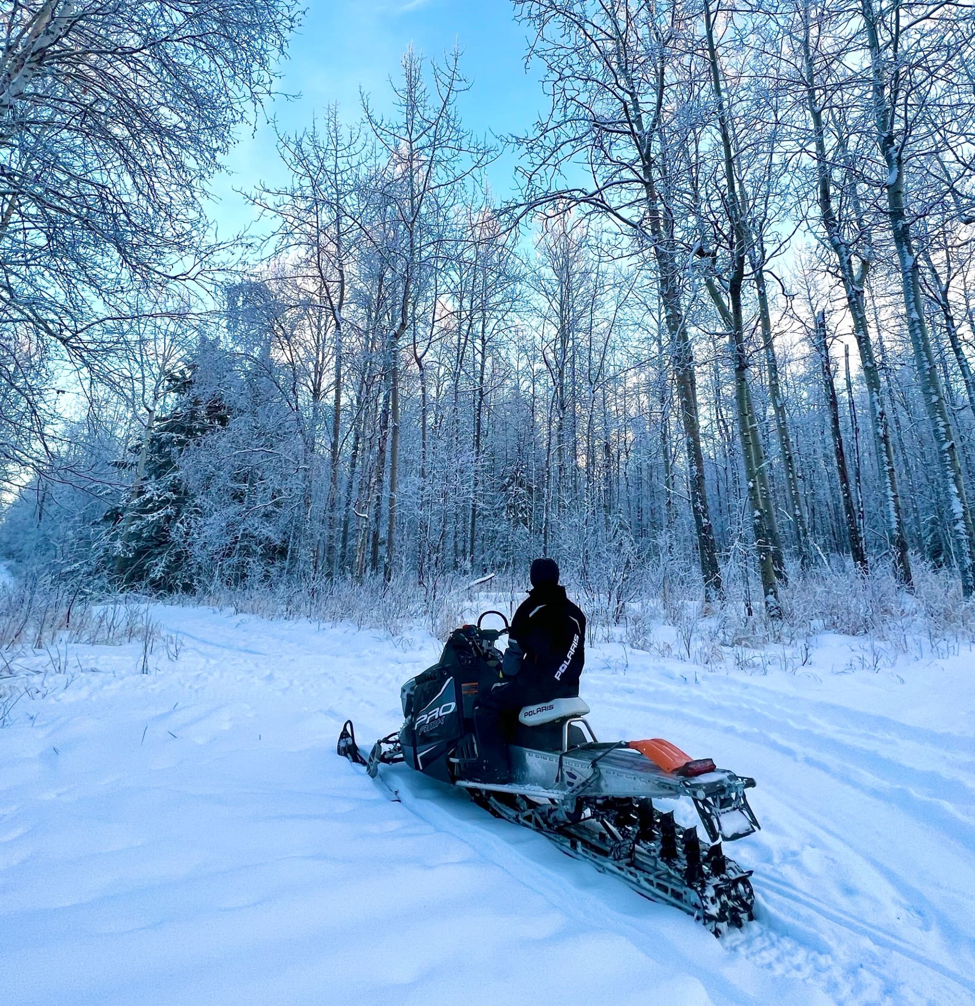 Person riding an ATV on a dirt trail through a forest with autumn leaves.