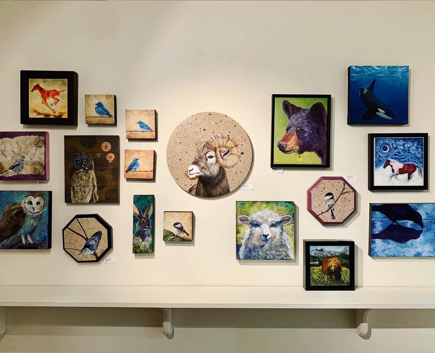Framed animal-themed artwork in various styles and sizes on display.