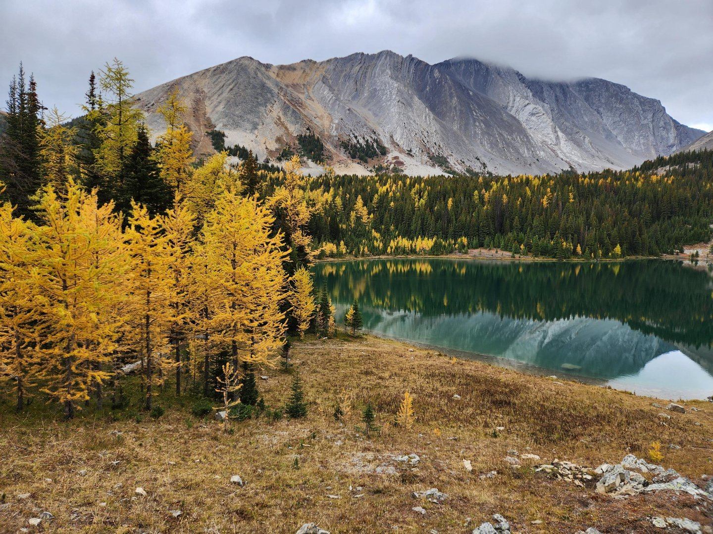 Rummel Lake in Kananaskis, with larch trees and a mountain in the background
