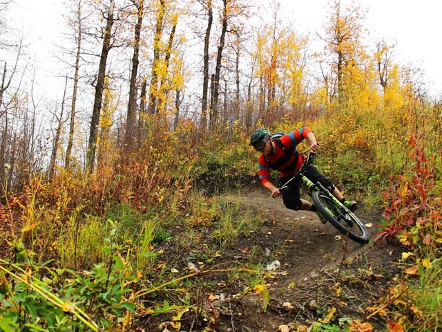 A person riding a bike on a trail