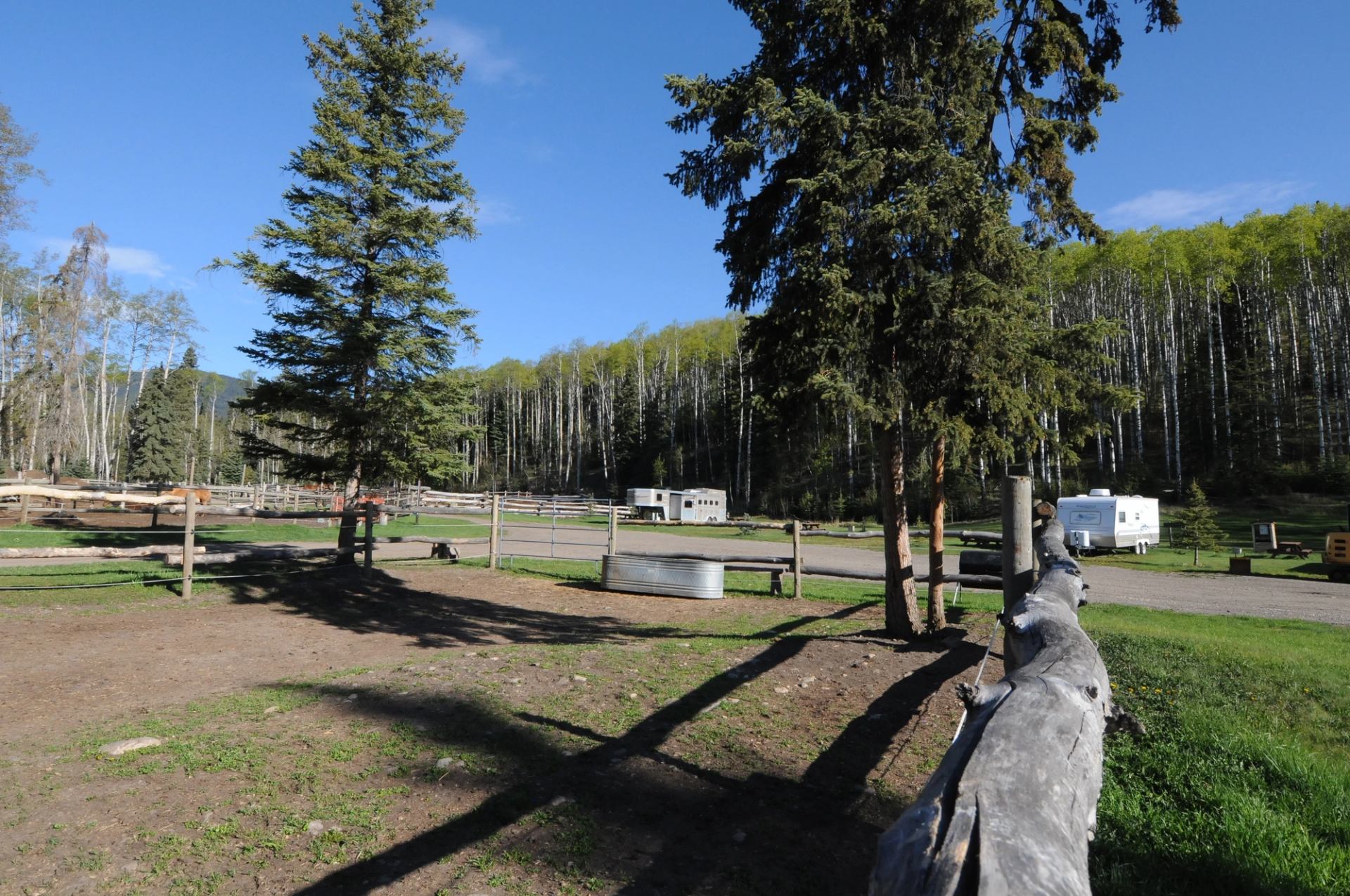 Campground with tall trees, wooden fences, horse trailer and white camper under blue sky.
