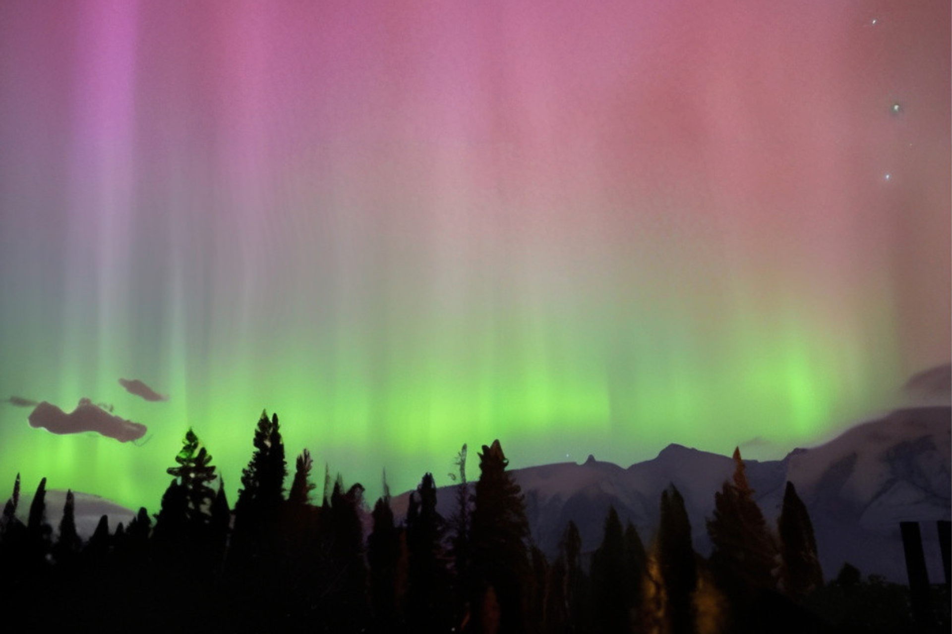Aurora lights in pink and green over silhouetted Rockies and pine trees.
