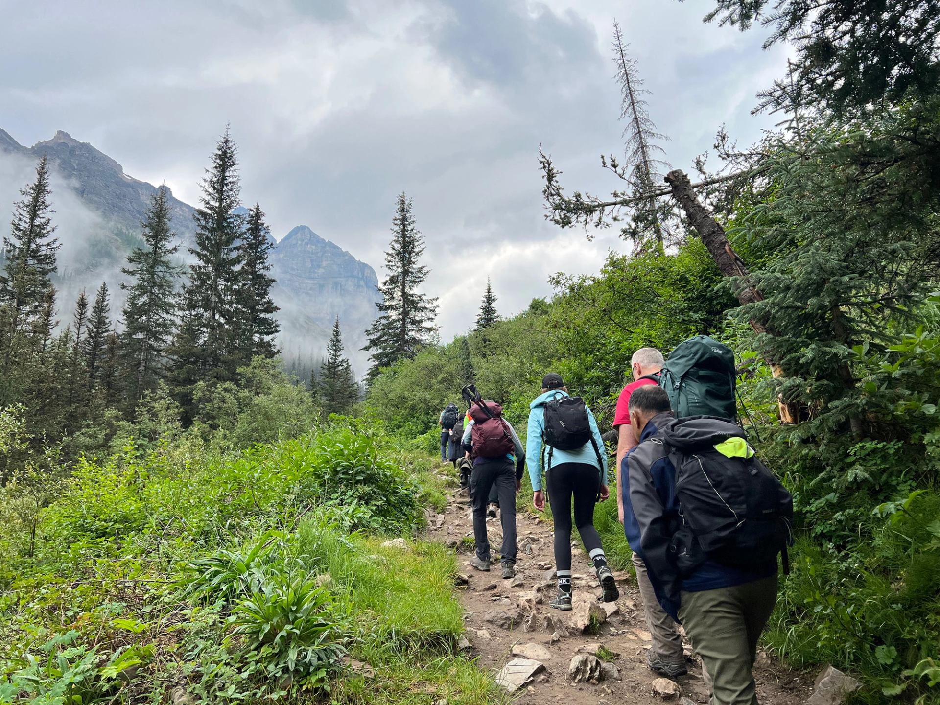 Group of hikers walking up a rocky forest trail with misty mountains in the background.