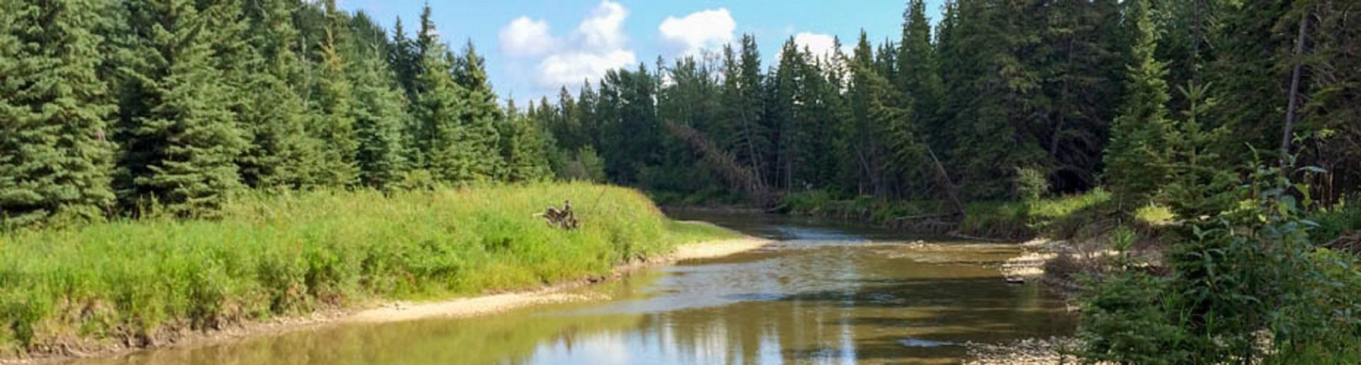 Little Red Deer River