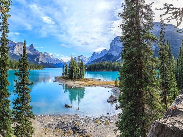 51fc9ff4e493050727896e6ae66f6e