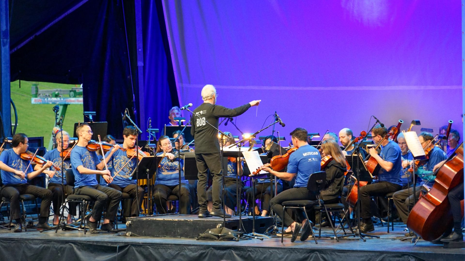 The symphony performing