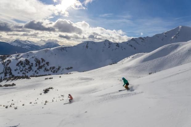 Two skiers skiing in fresh snow at Marmot Basin in Jasper National Park