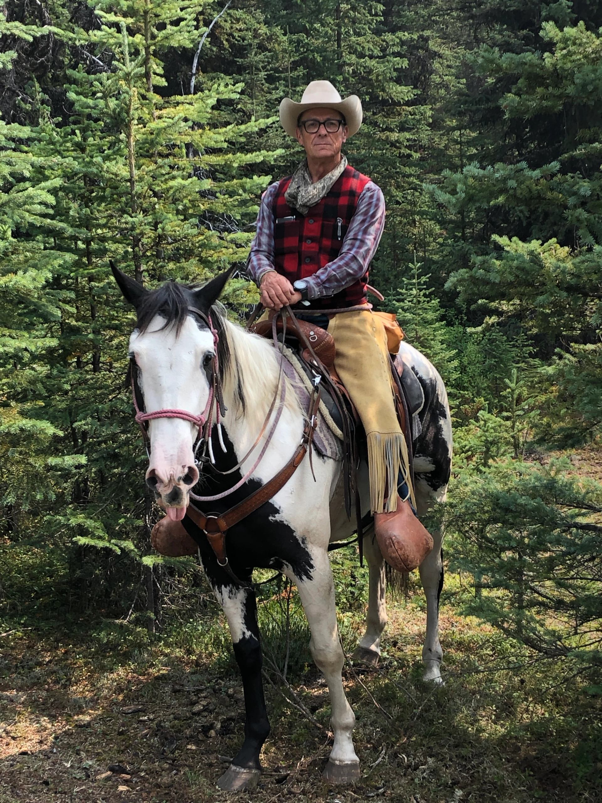 Person in cowboy hat riding a black and white horse in dense evergreen forest.