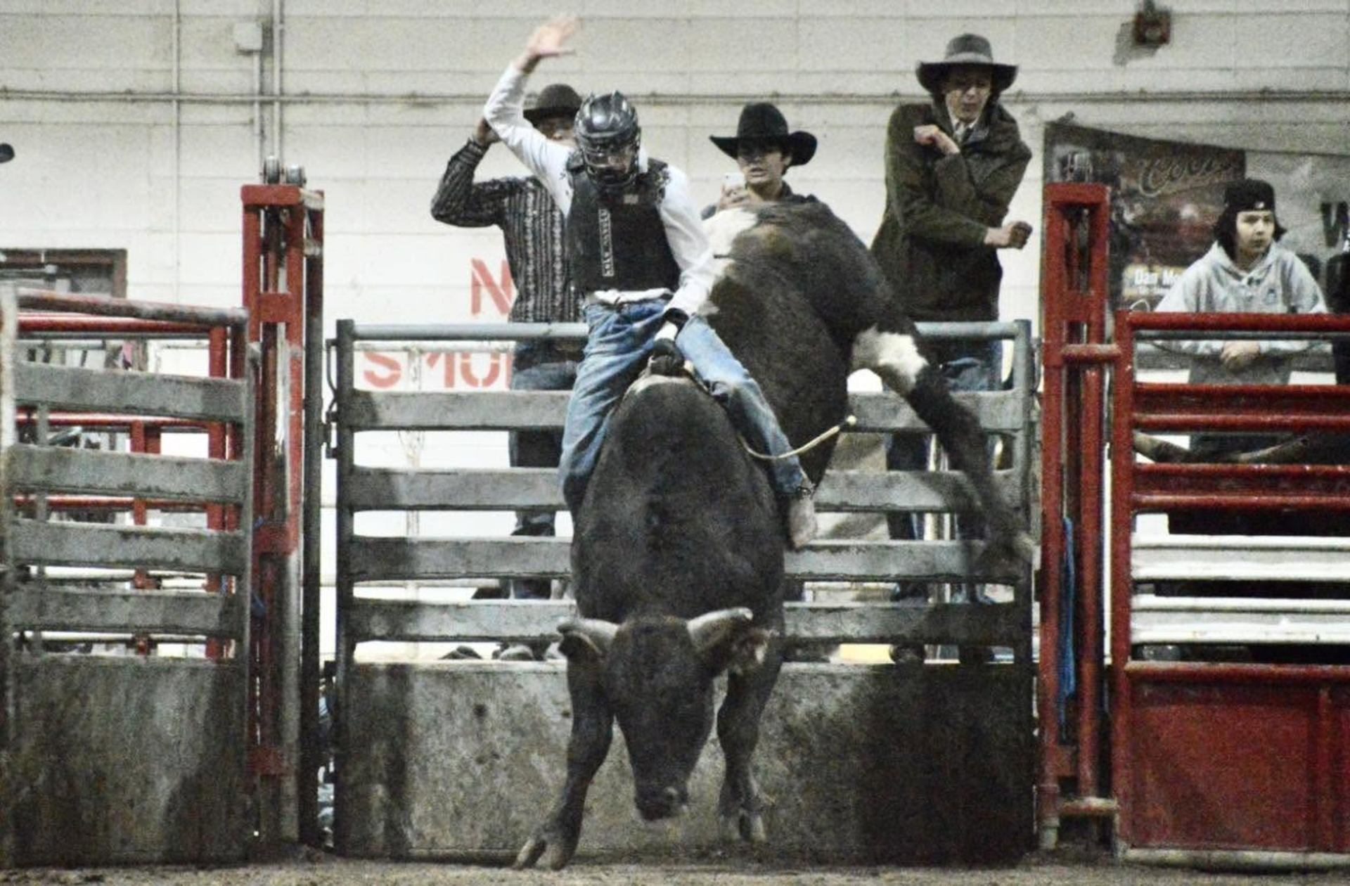 Bull rider in helmet and vest holds rope as bull bucks in rodeo chute.