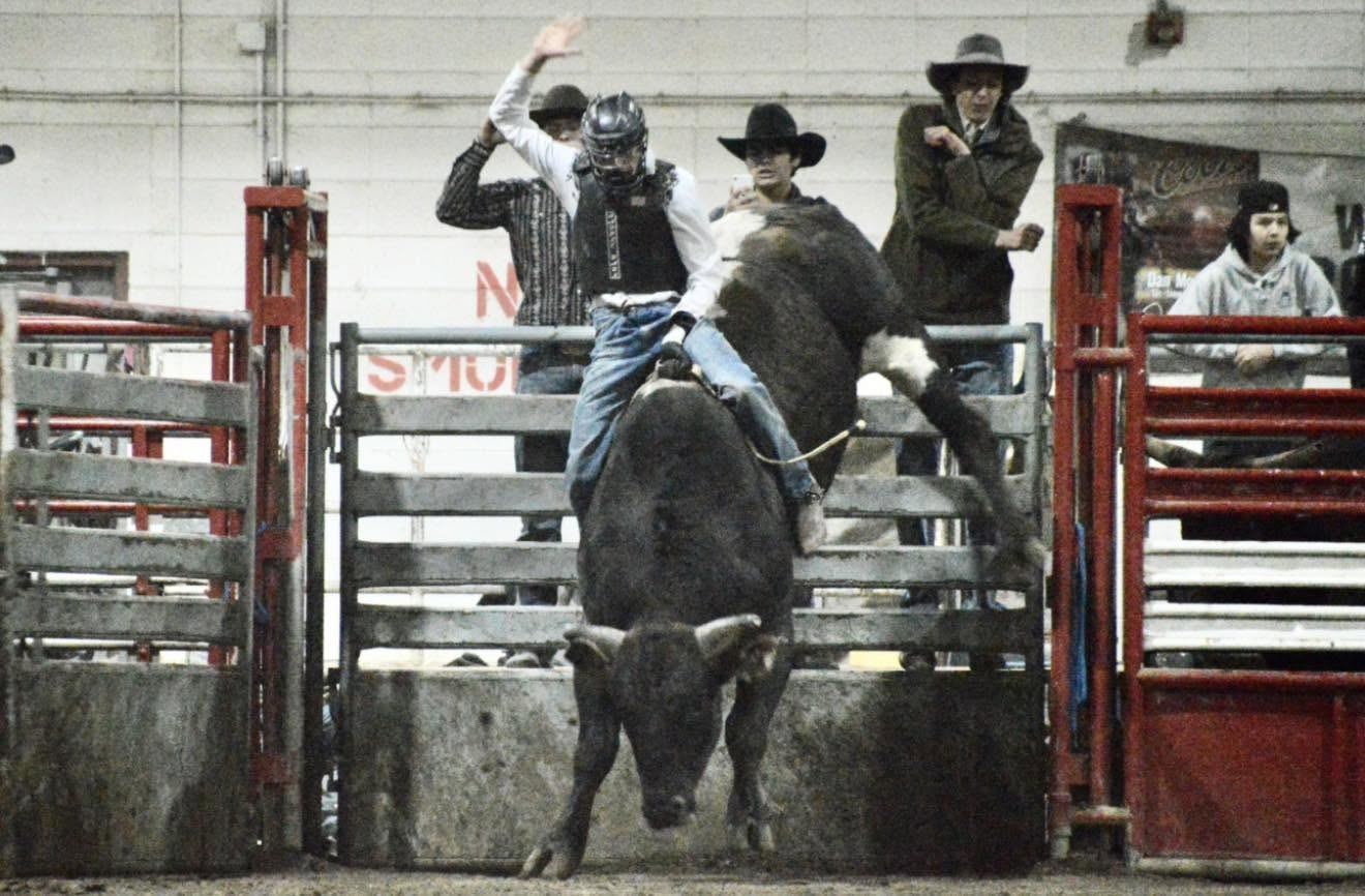 Bull rider in helmet and vest holds rope as bull bucks in rodeo chute.