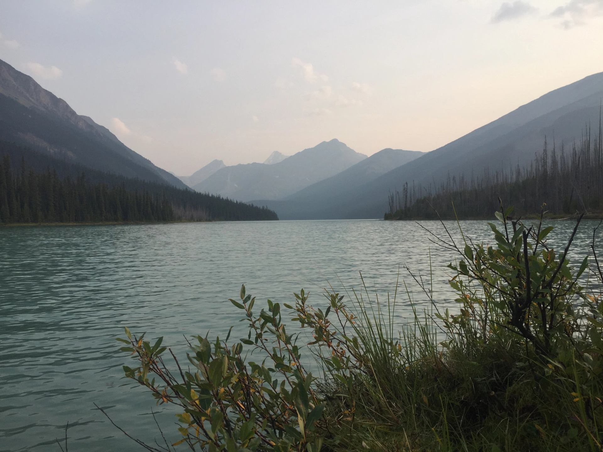 A calm alpine lake surrounded by mountains and forest under a soft sky.