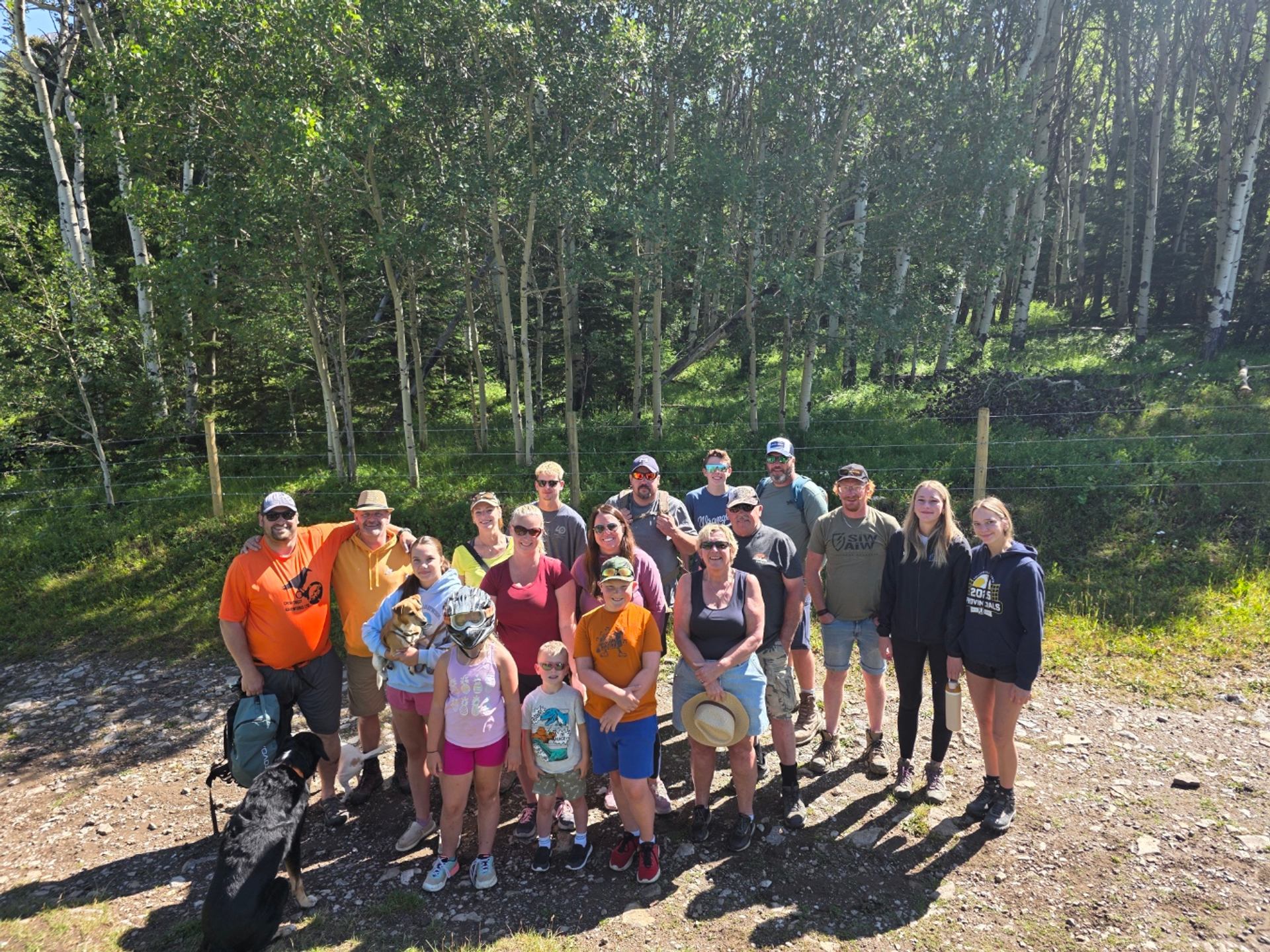 Group enjoying a sunny forest outing with kids and dogs on a trail.
