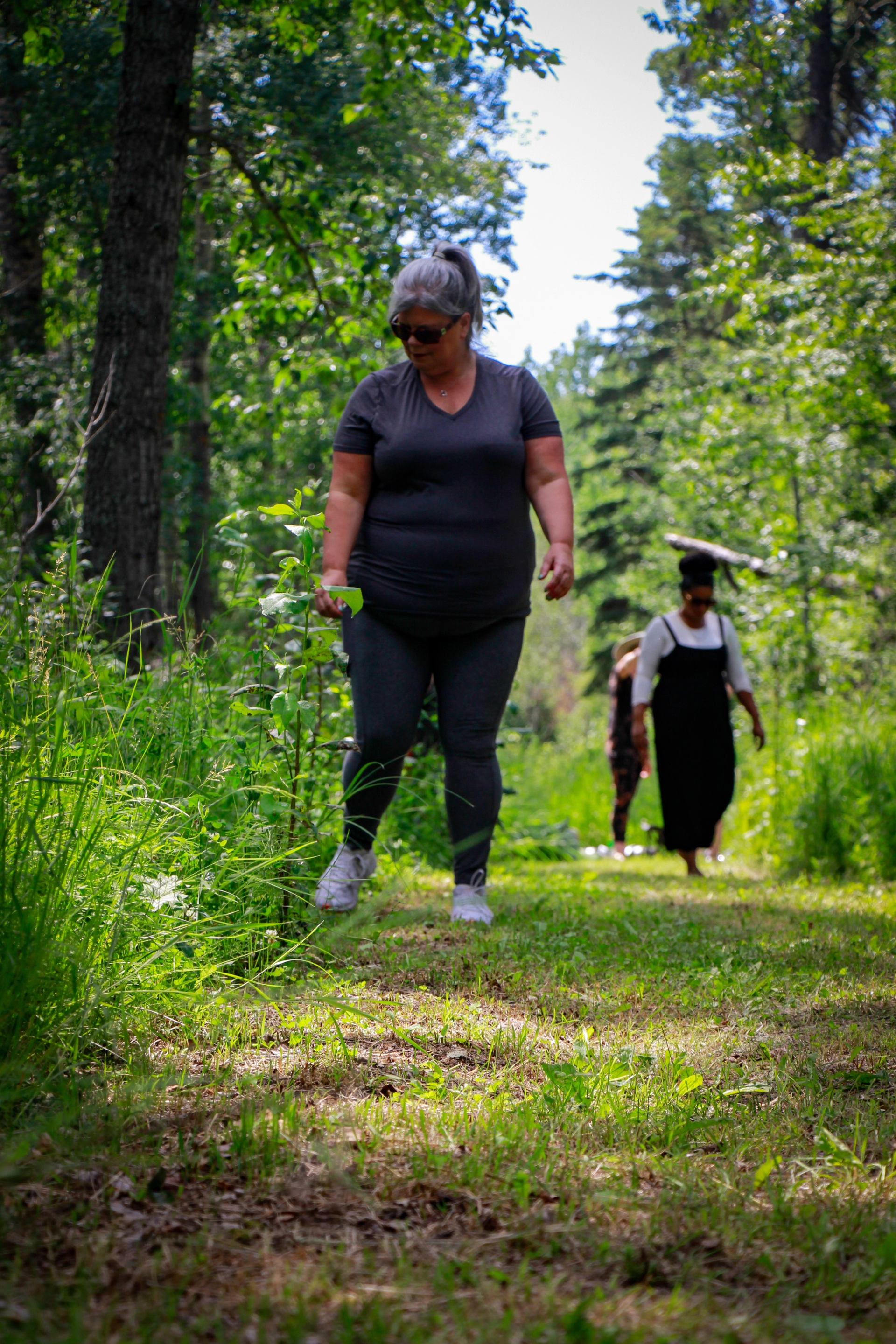 People walking slowly along a green forest path as part of an outdoor wellness activity.