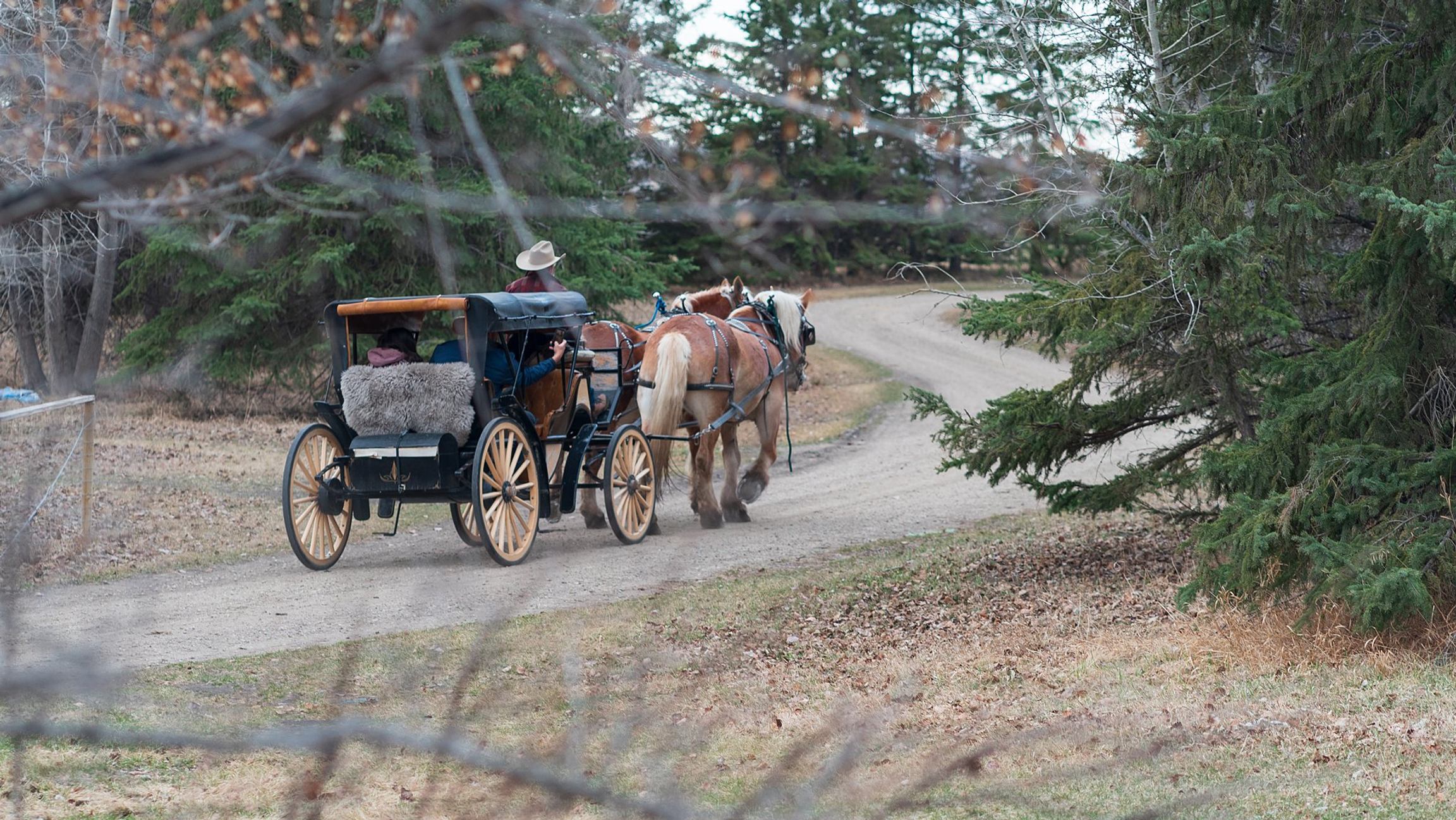 Heritage Ranch | Canada's Alberta