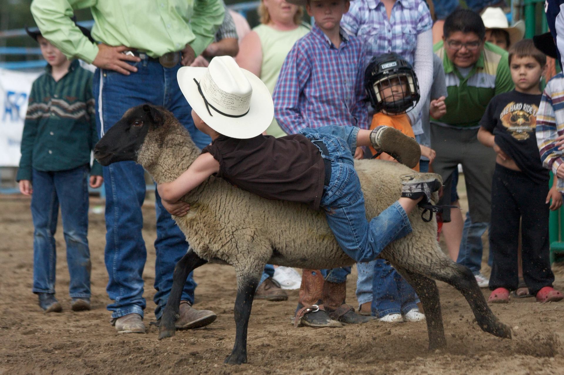 A child riding a running sheep in a rodeo ring surrounded by spectators.