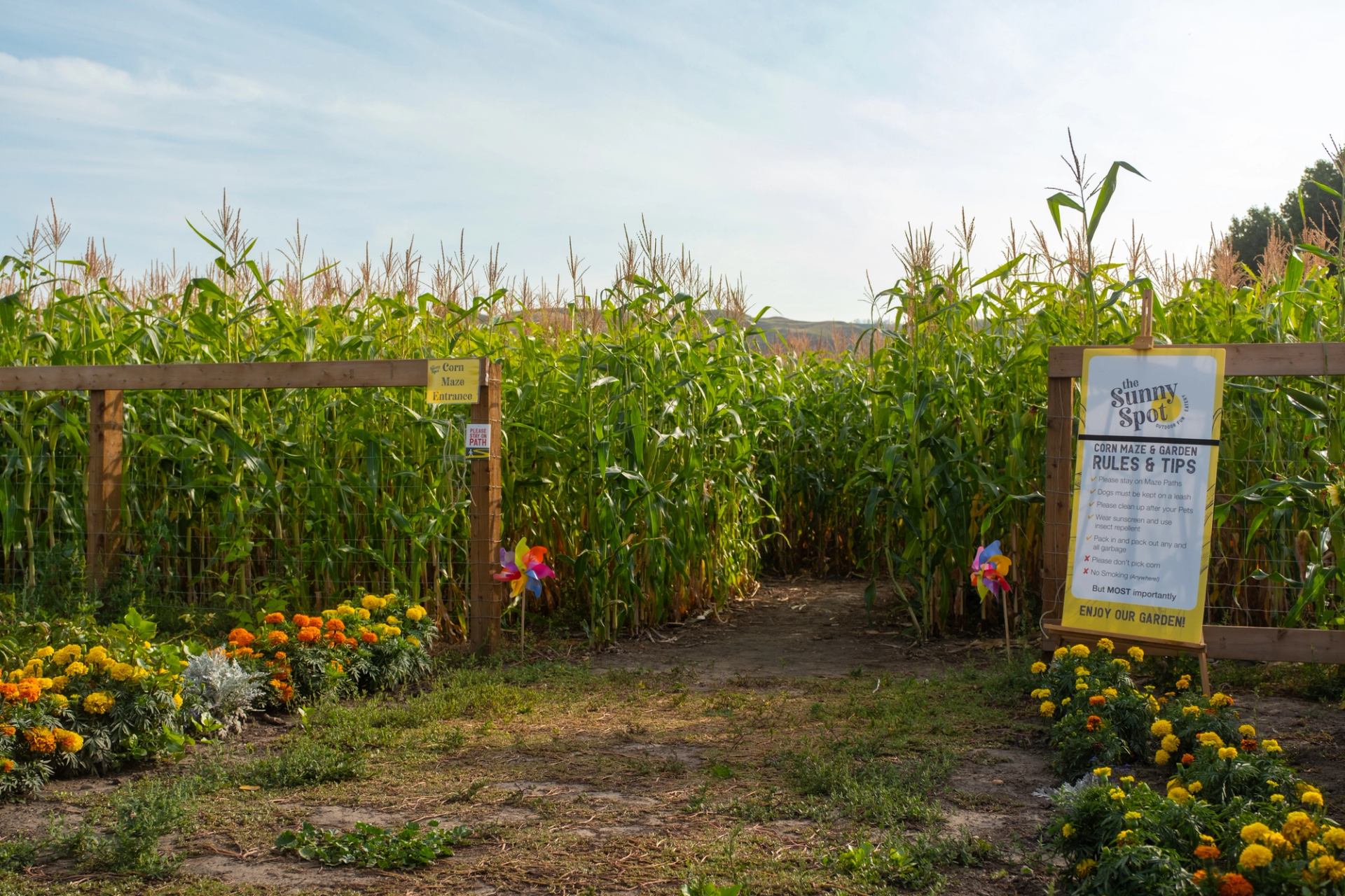 Corn maze near Hoodoo RV Resort & Campground.