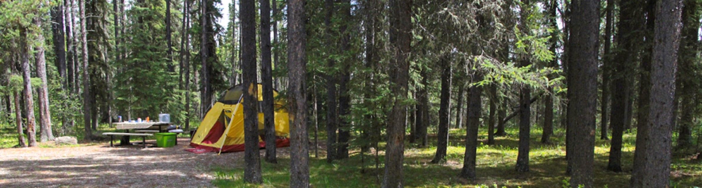 Prairie Creek Campground | Canada's Alberta