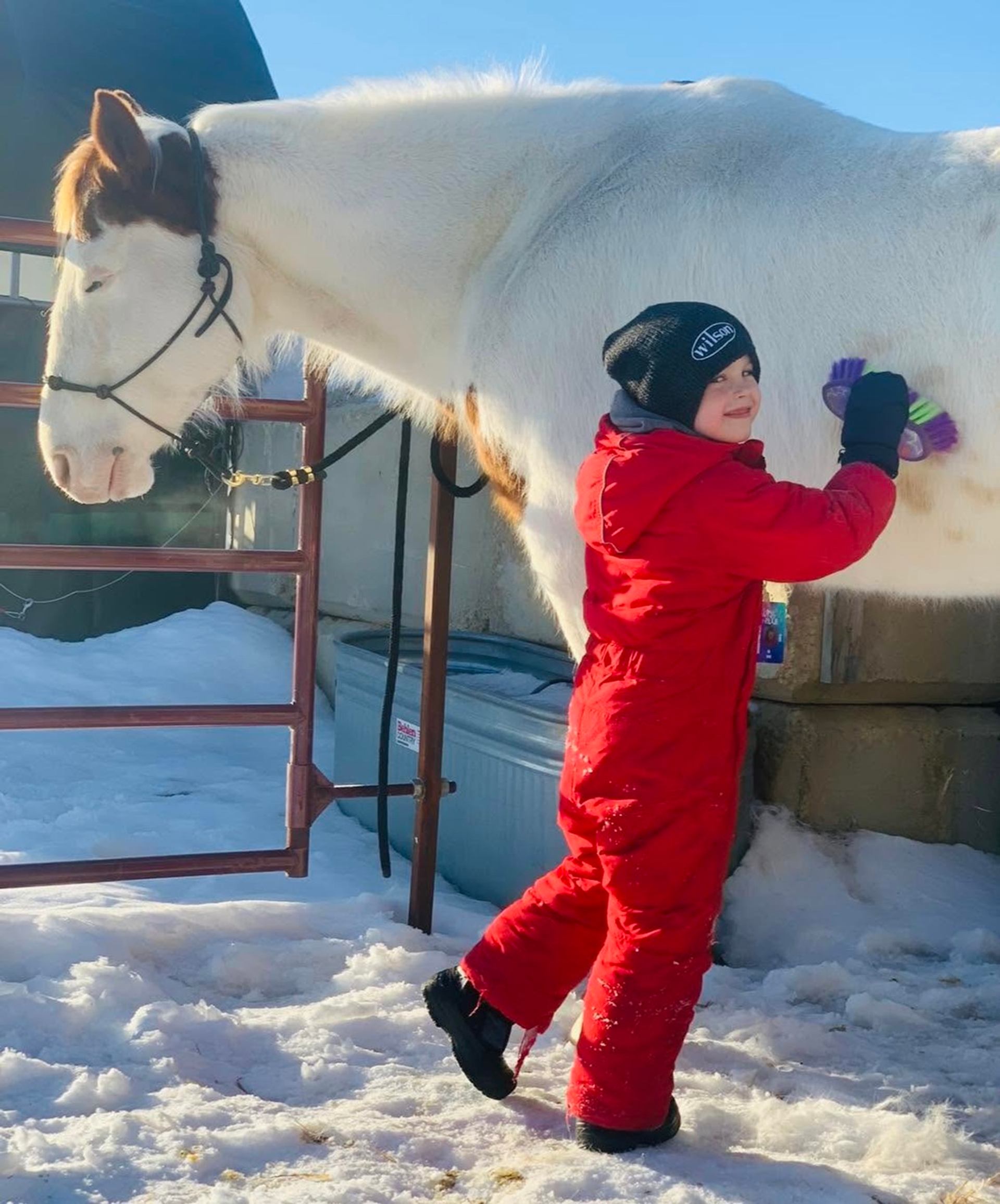 Person in a red snowsuit brushes a white horse beside a snowy enclosure.
