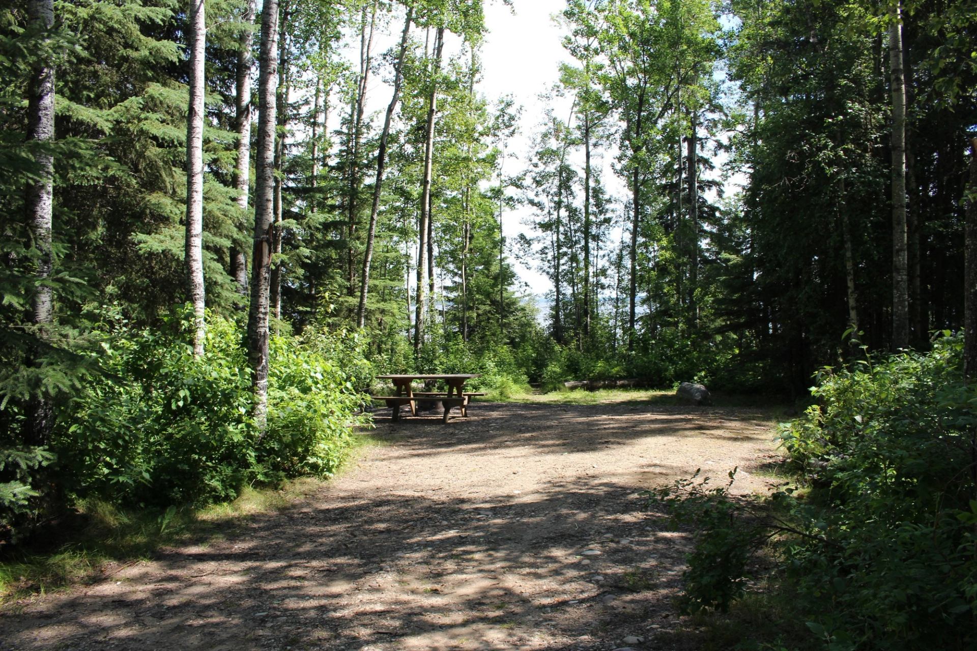 A picnic table and gravel pad in a campsite.