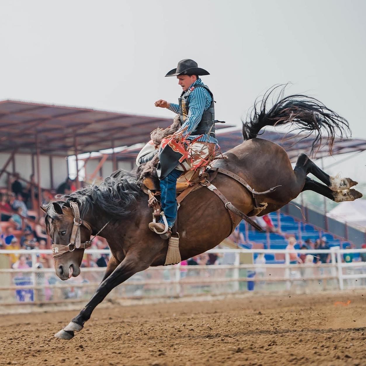 Man trying to stay on his horse during bronc riding