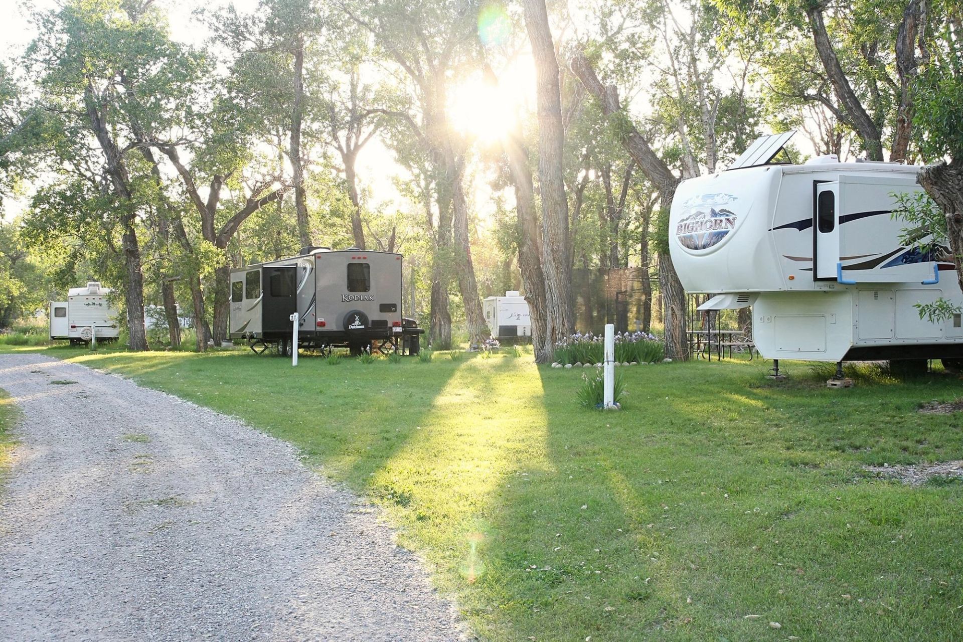 RV campers parked on a grassy campsite beside tall trees at Blue Trail RV Park.