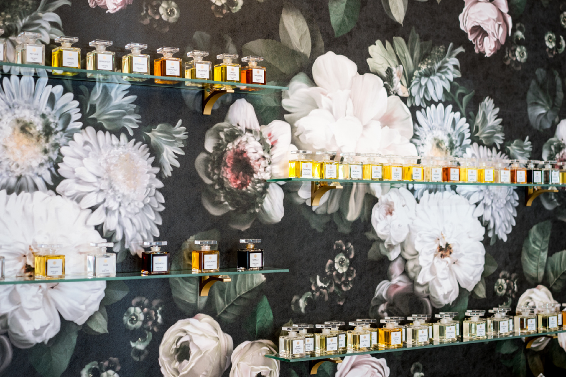 Shelves of assorted perfume bottles displayed against a floral-patterned wall.