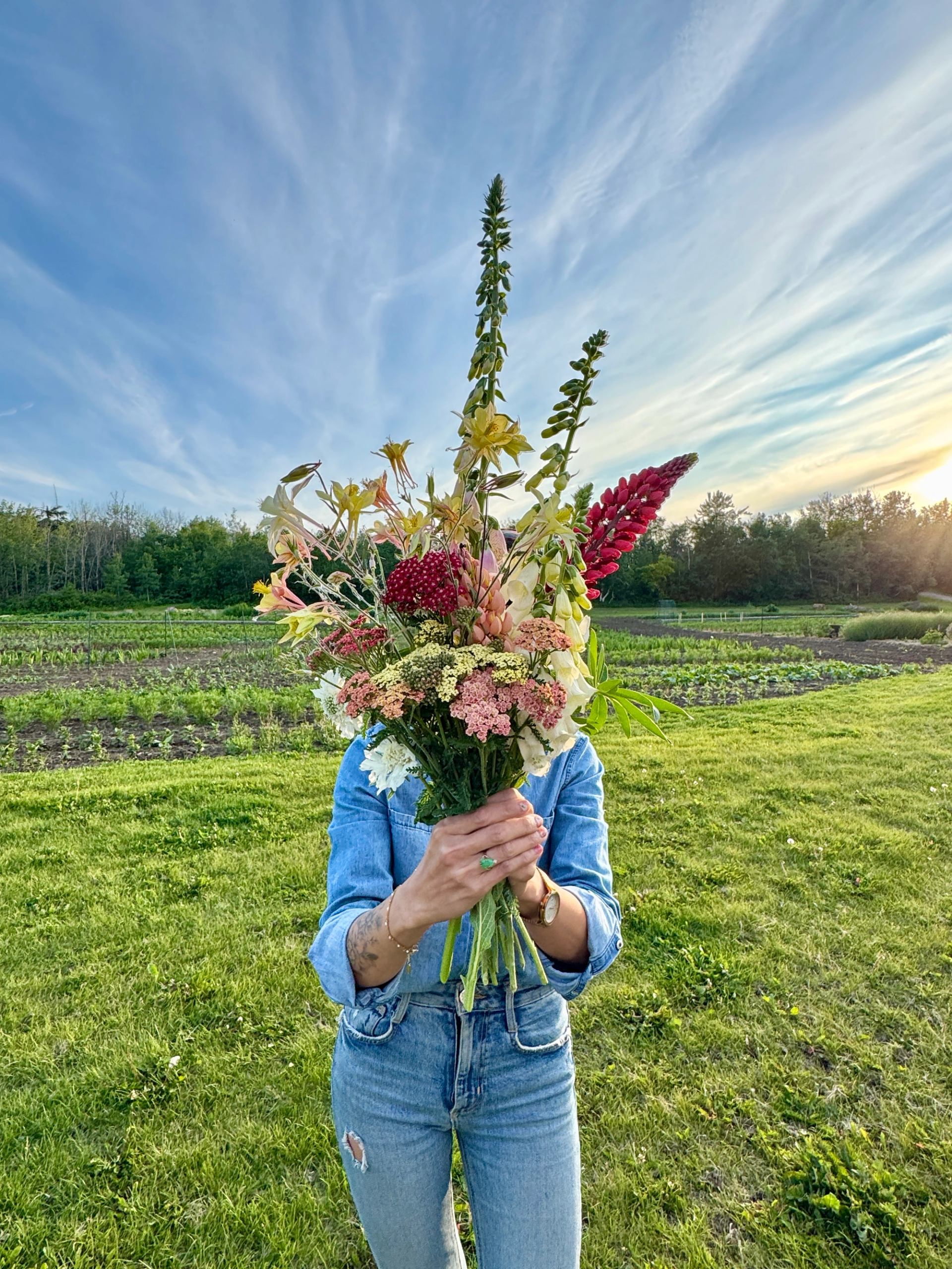 Person in denim holds large bouquet of colorful flowers in a grassy field at sunset.