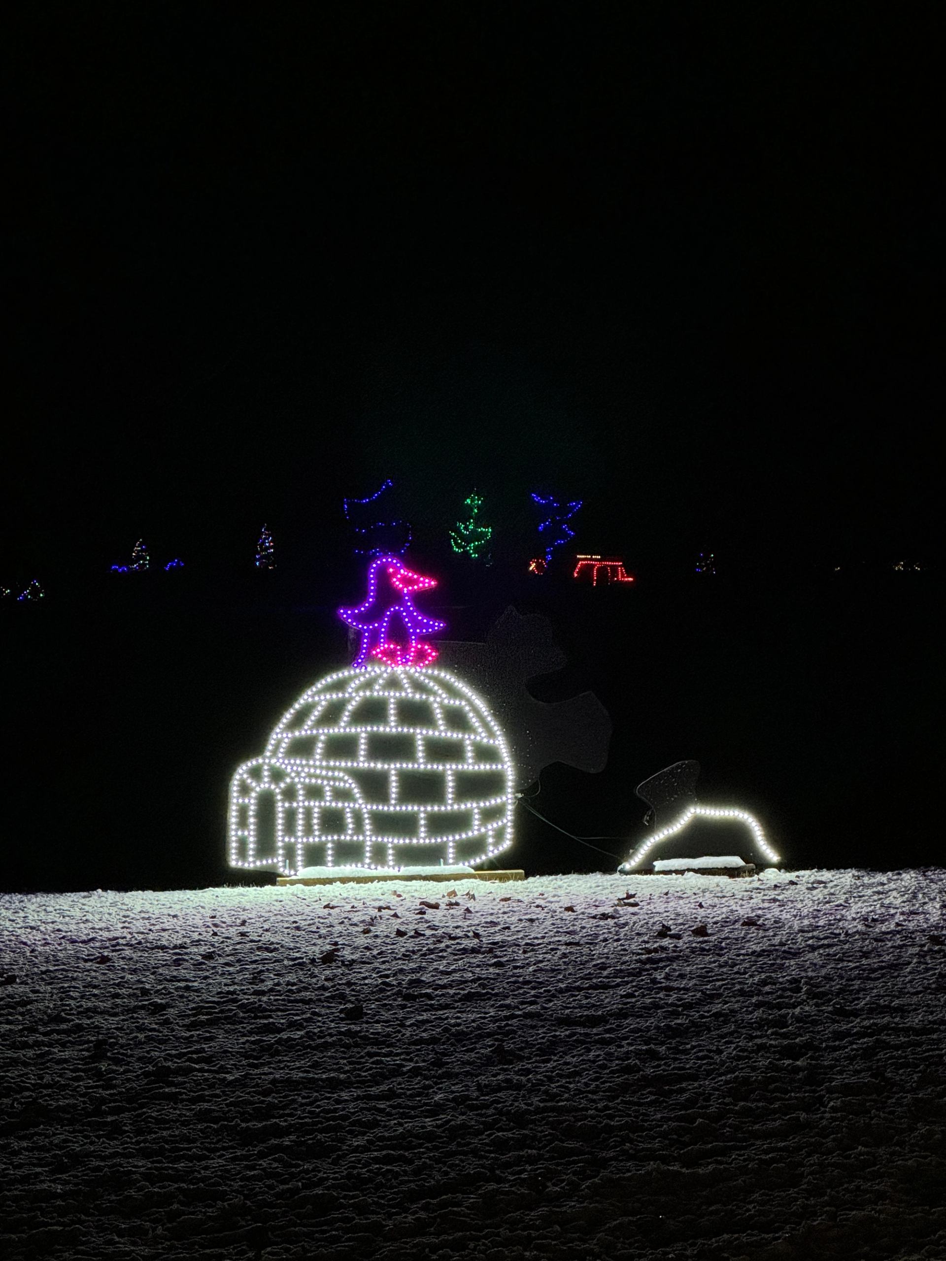 Bright igloo light display with a glowing penguin on top and snow-covered ground below.