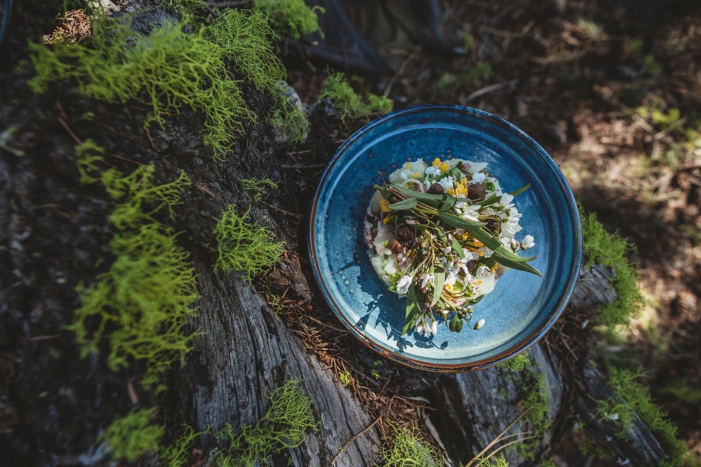 Blue ceramic bowl of plated food resting on moss-covered tree trunk outdoors.