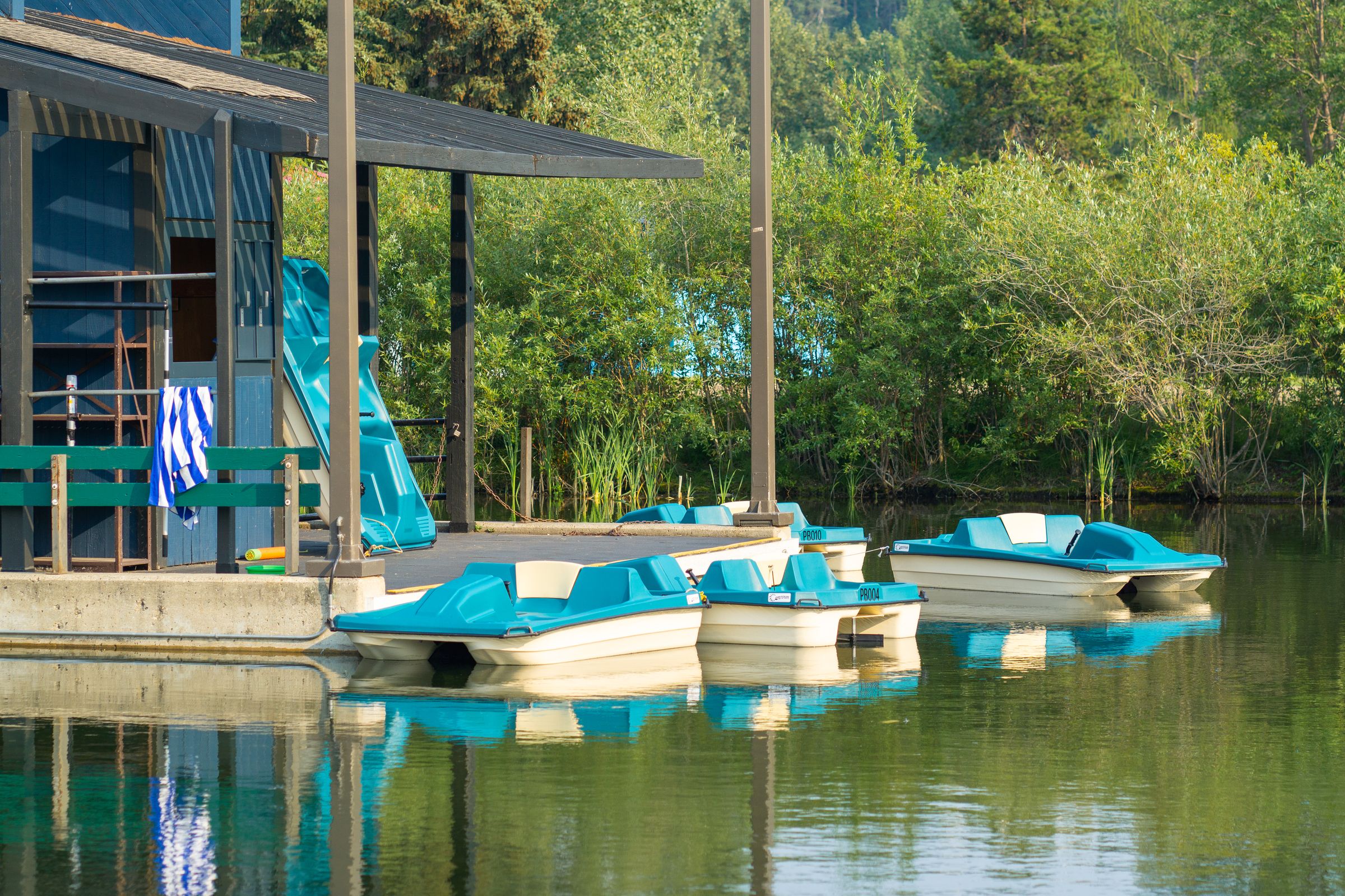 Rundle Park Paddleboat and Hydrobike Rentals | Canada's Alberta thumbnail