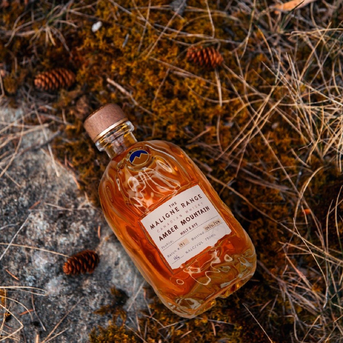 A bottle of whiskey on the ground during fall.