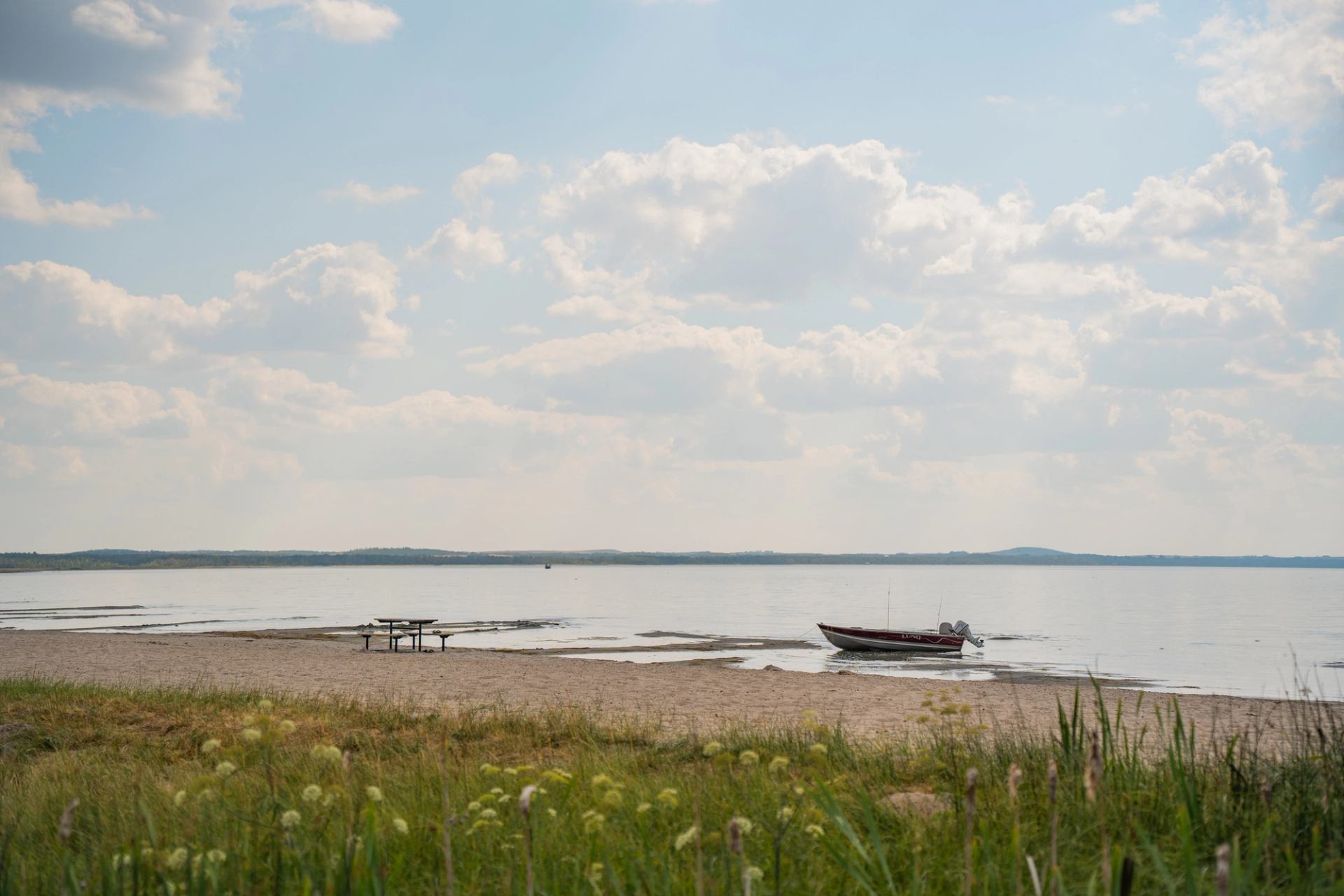 Buffalo Lake Provincial Recreation Area.