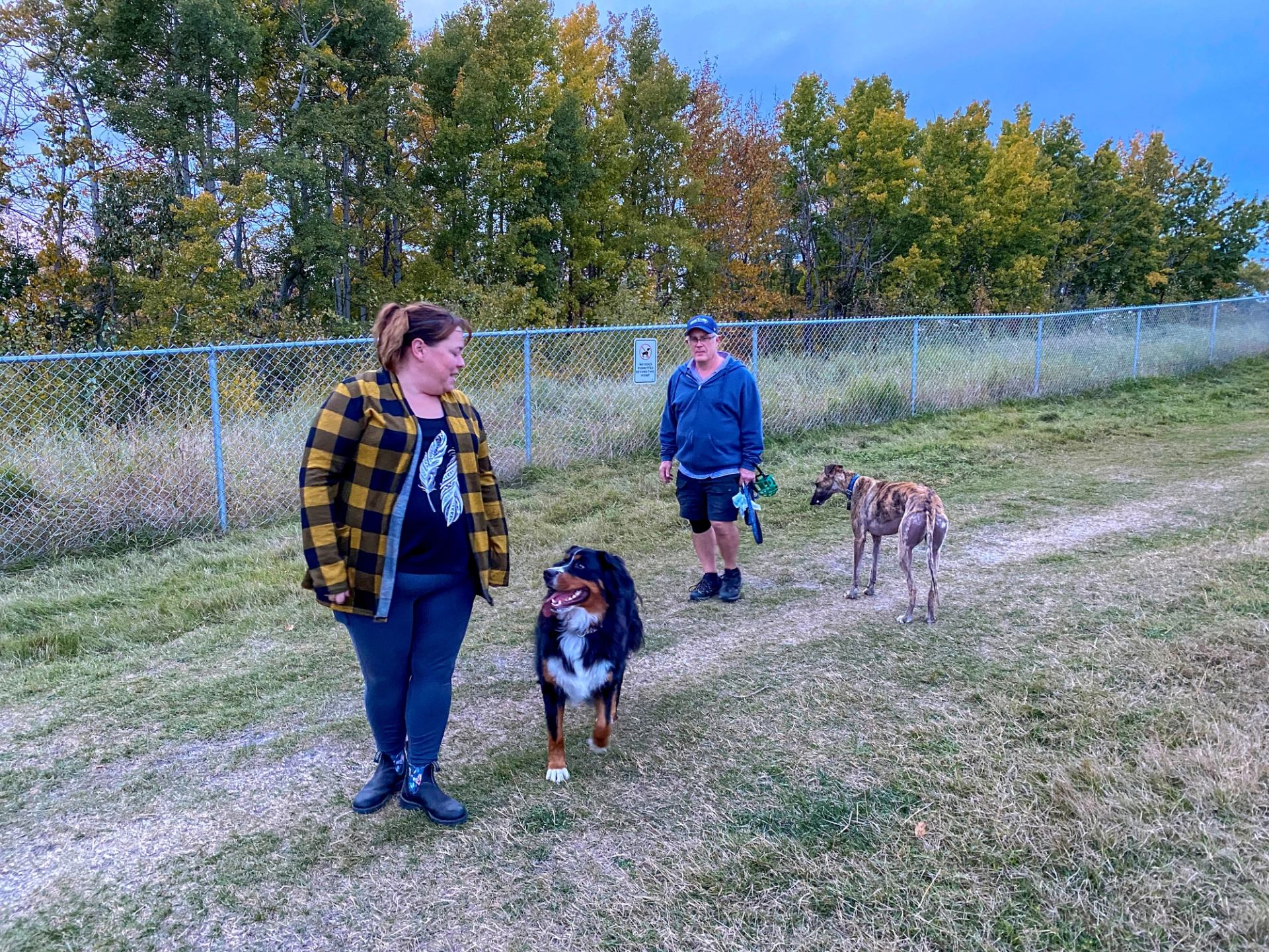 Olds Off-leash Dog Park | Canada's Alberta thumbnail