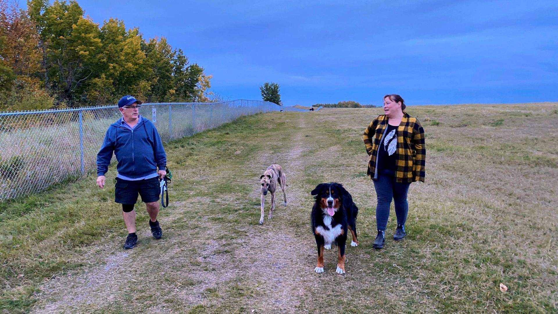 People walk dogs on grassy path beside chain-link fence and trees.
