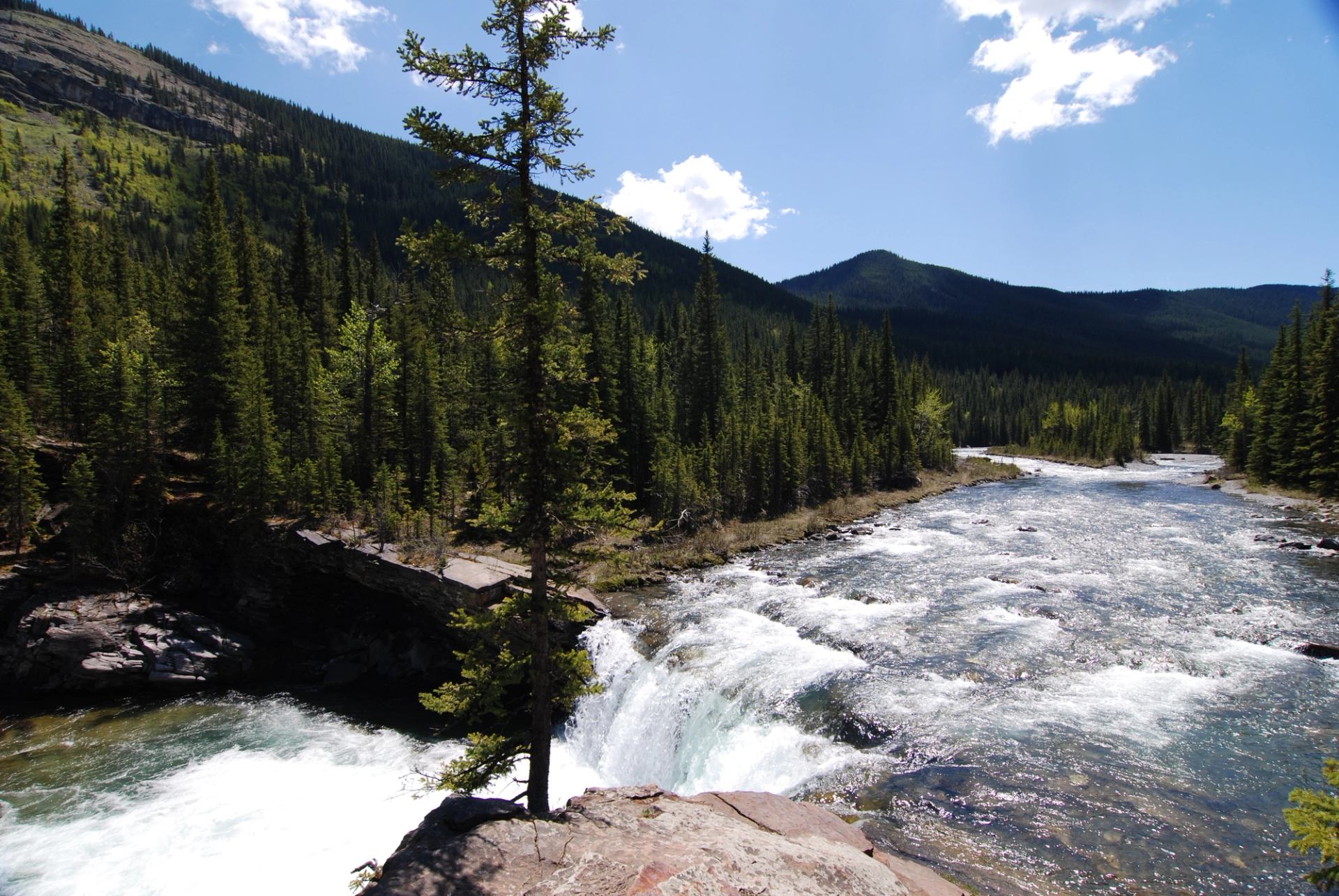 Mountain river flows past rocky ledge and dense evergreen forest under blue sky.