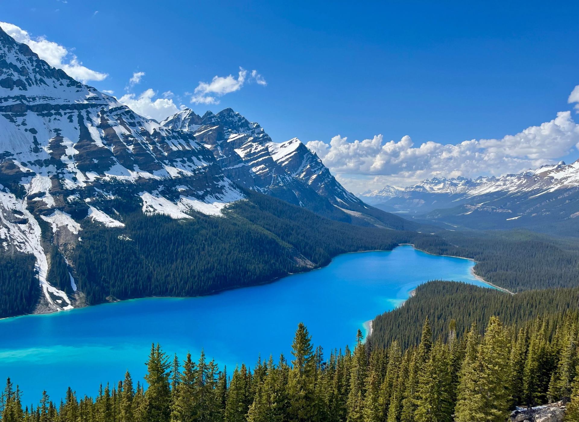 Turquoise mountain lake curves below snow-capped peaks and dense evergreen forest under blue sky.