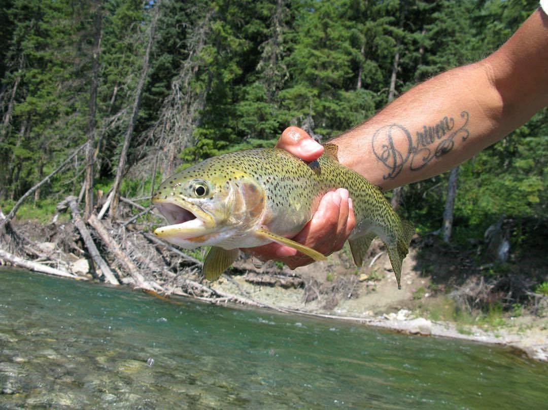 A small yellow fish with black spots is held next to an alpine stream.