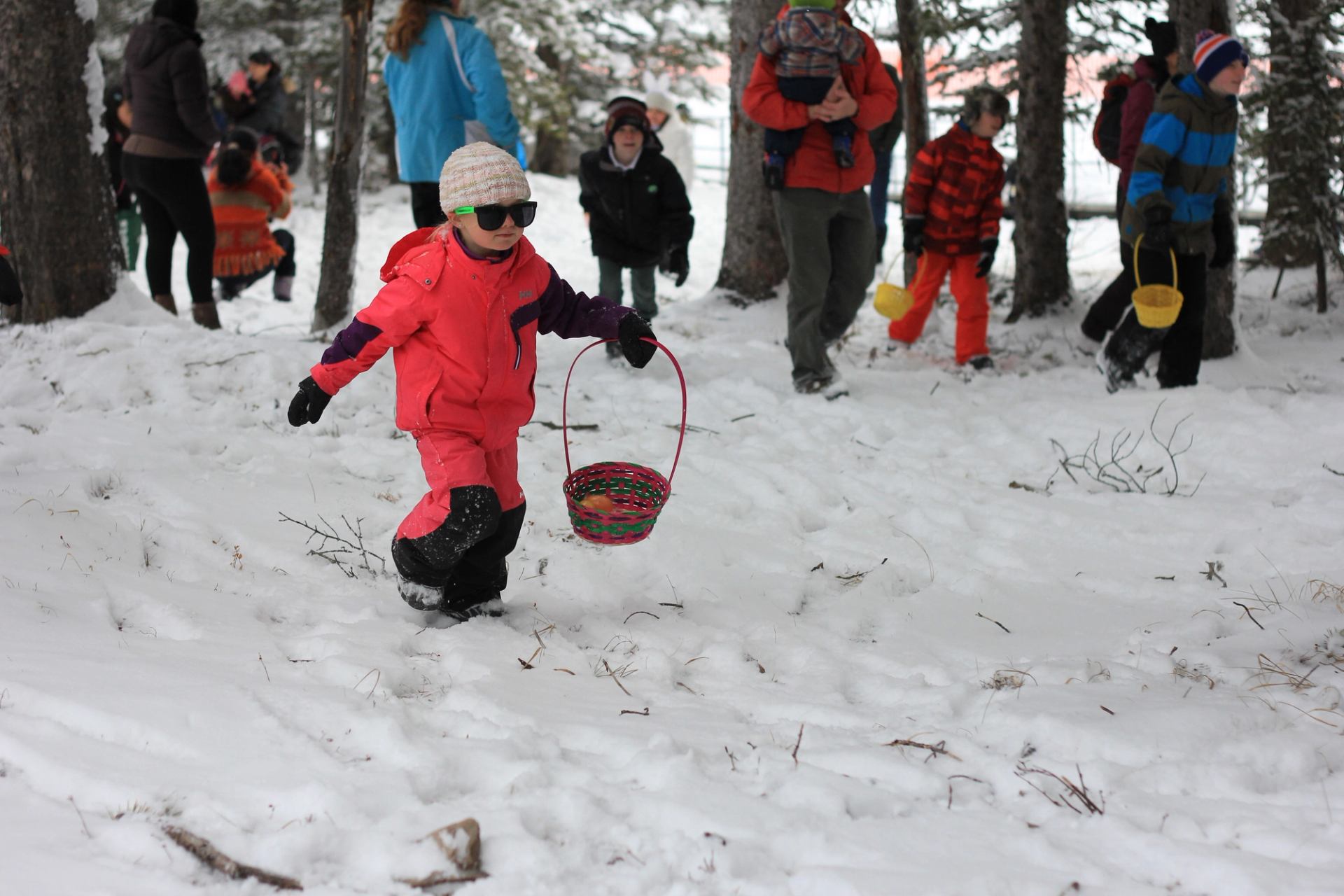 Child in bright pink snowsuit runs with basket during Norquay Easter egg hunt.