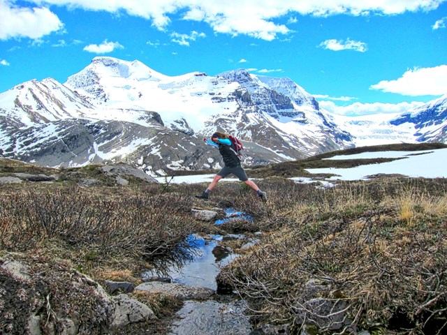 Wilcox Pass | Canada's Alberta thumbnail