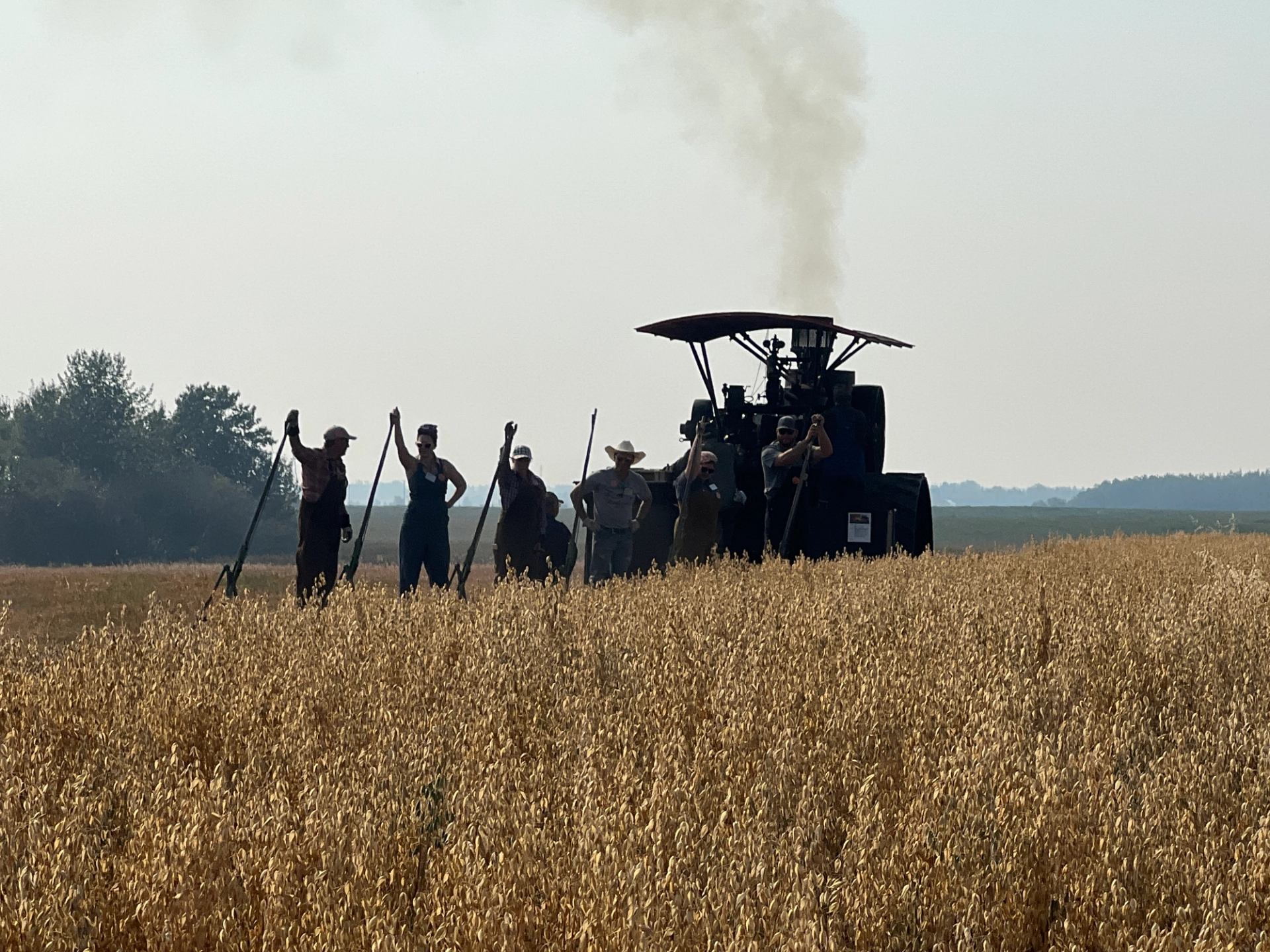 Group standing with tools beside a steam-powered machine in a grain field.