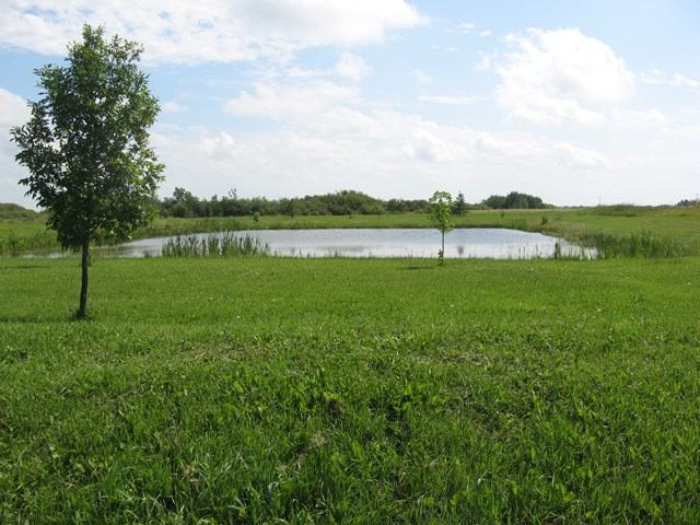 Grassy field with a small pond, trees, and open sky in the background.