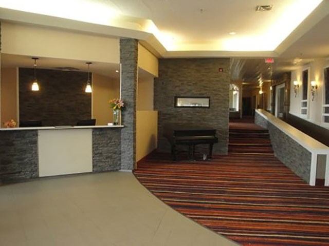 Modern hotel lobby with front desk, stone accents, and colorful carpet.