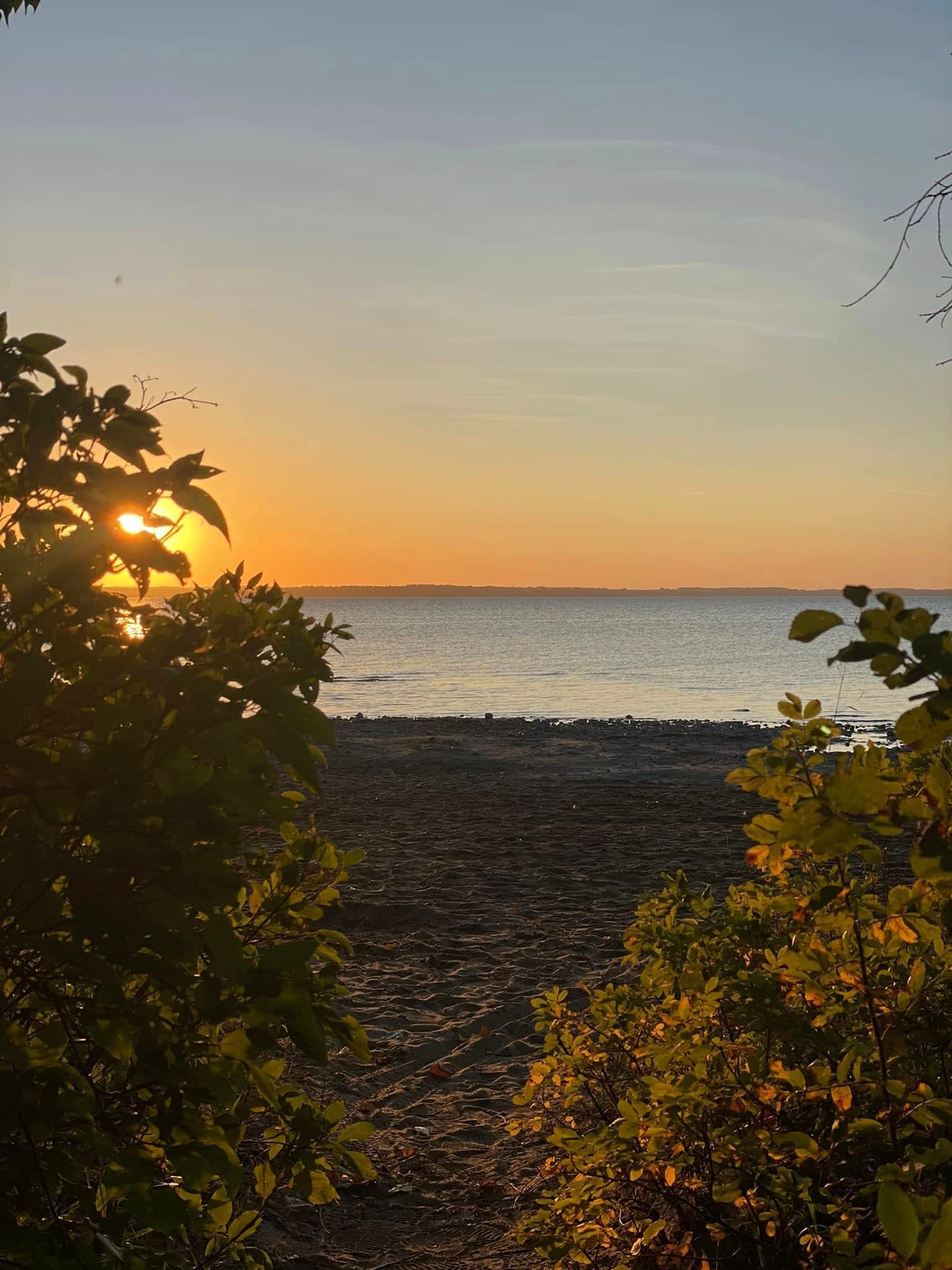 The sun sets over calm water viewed through leafy trees at Wilson’s Beach Campground.